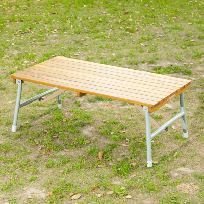 Outdoor-Tisch 120 cm, klappbar